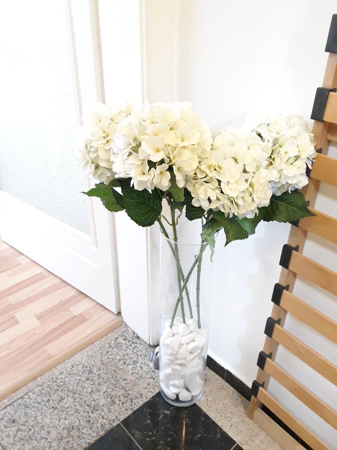 Studio Old Center 布加勒斯特 外观 照片